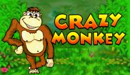 Классический слот Обезьянки ка всегда щедр для всех игроков