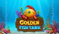 Gold Fish