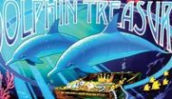 dolphin treasure