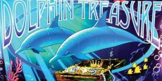 dolphin treasure